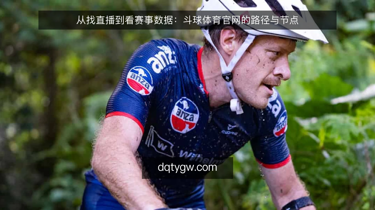 从找直播到看赛事数据:斗球体育官网的路径与节点