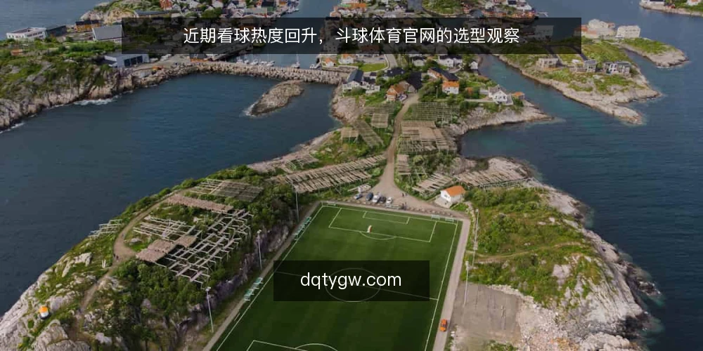 近期看球热度回升，斗球体育官网的选型观察 — 需求界定：你是要看直播，还是要看赛事数据 配图