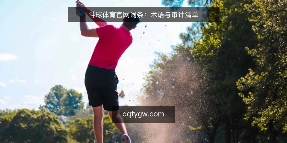斗球体育官网词条：术语与审计清单 — 为何现在审计术语认知 配图