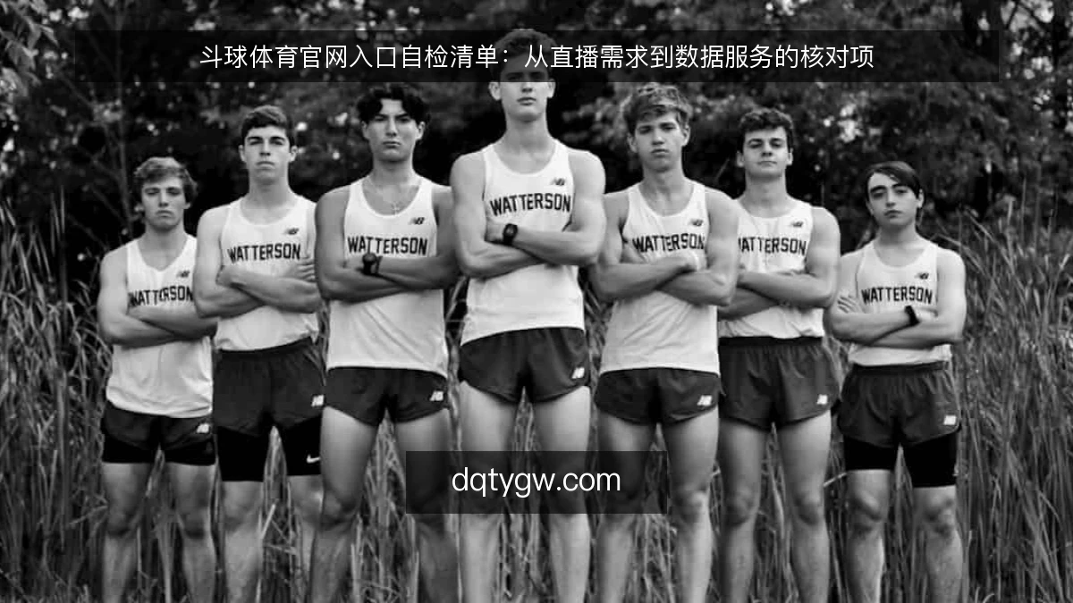 斗球体育官网入口自检清单：从直播需求到数据服务的核对项