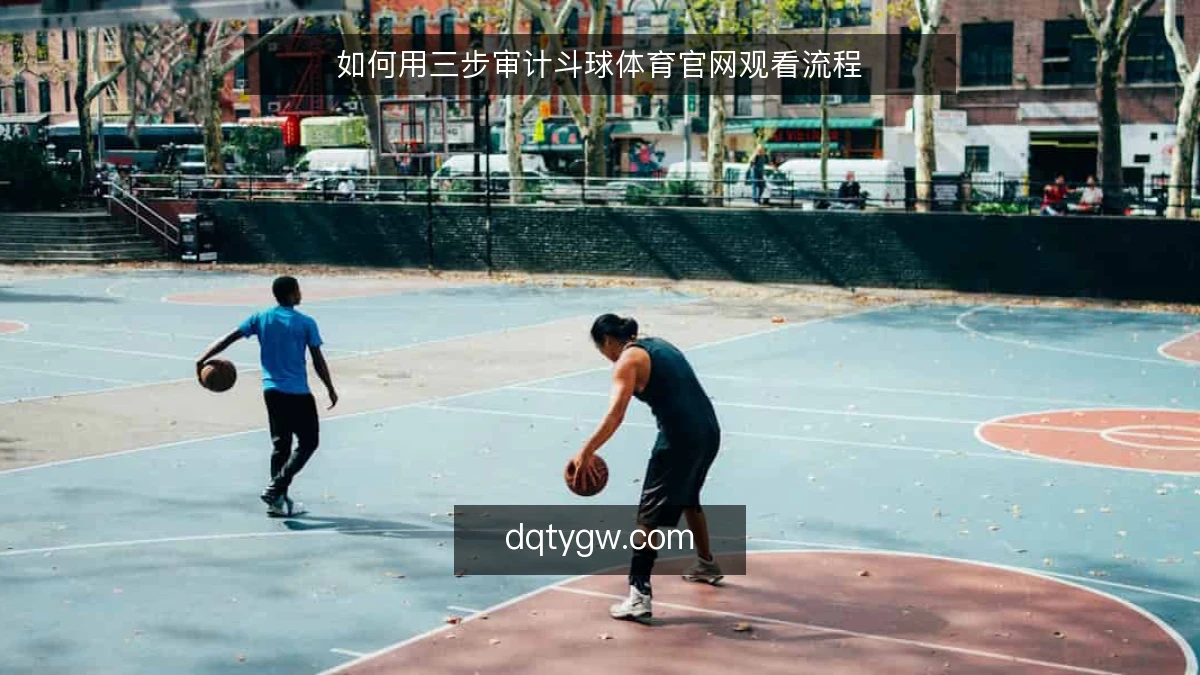 如何用三步审计斗球体育官网观看流程